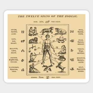 1890 The Twelve Signs of the Zodiac Magnet